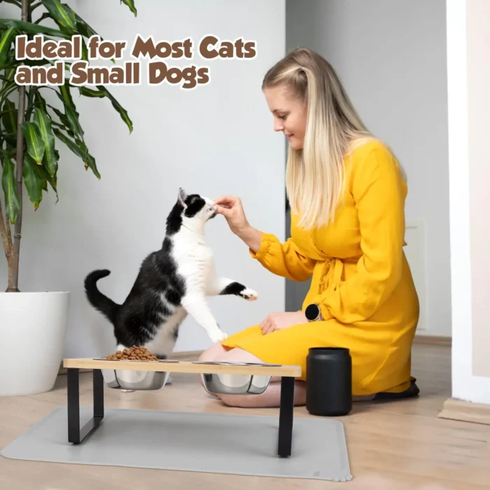 Sf70e6ac56992480c86d83a37476b8015m.webp